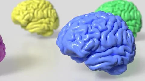 The Multi color Brain on white Background  3d rendering. Stock Illustration