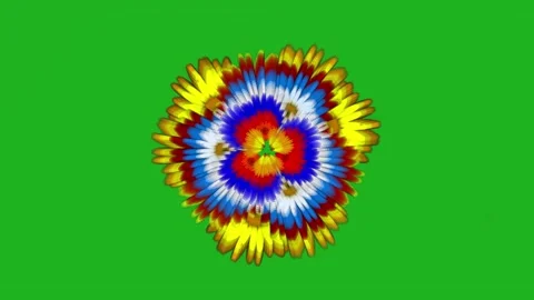 Multi color Flower extraction video footage Stock Footage 232977087