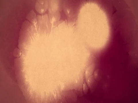 Multi color gradient abstract splash water color ink paint brush stroke color Видео 85132794