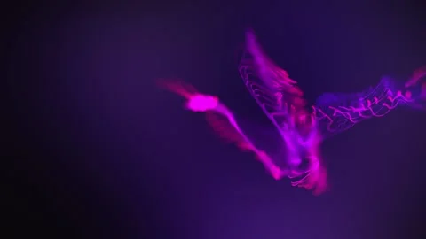 Multi Color Particles Video stock 229474467