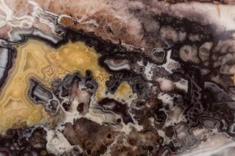 Multi colored Agate macro. Stock Photos