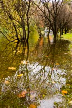Multi-colored autumn trees reflected in water Stock Photos