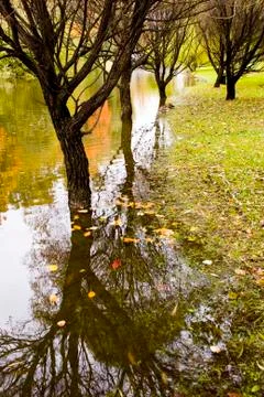 Multi-colored autumn trees reflected in water Stock Photos