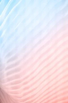 Multi colored background with gradient texture effect Stock Photos