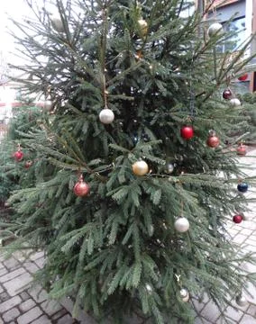 Multi-colored balls on a Christmas tree before the holiday Stock Photos