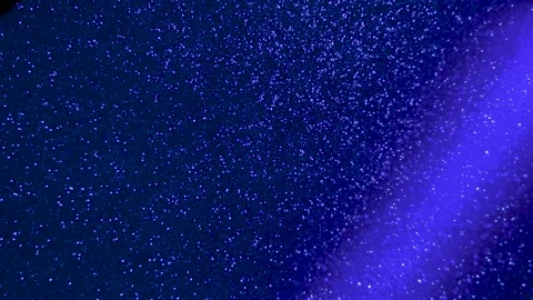 Multi-colored beams of light blink on a dark background. Stock Footage 195700508