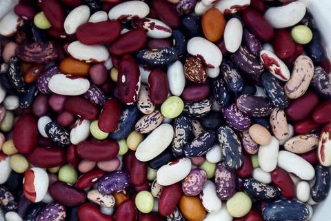 Multi-colored bean seeds close-up, top view Stock Photos