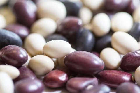 Multi-colored beans on a white background. Red and white beans. Stock Photos