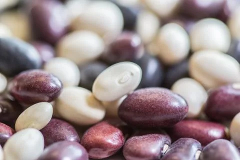 Multi-colored beans on a white background. Red and white beans. Stock Photos