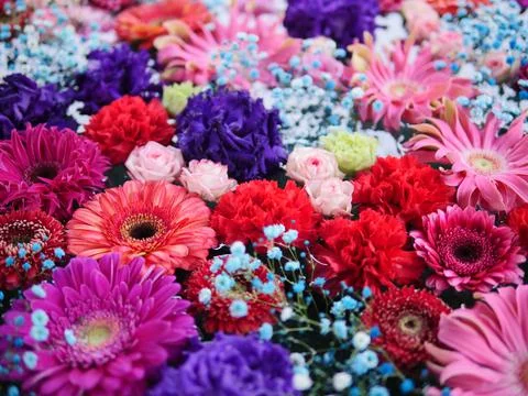 Multi-colored beautiful flower background Foto stock