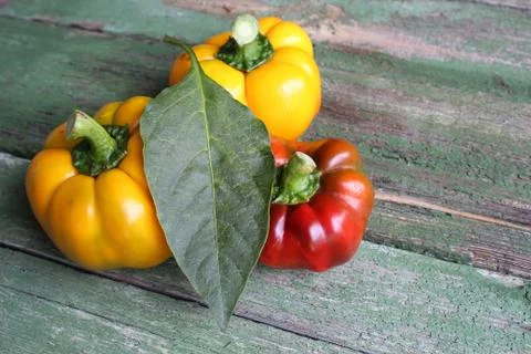 Multi-colored bell peppers on the background of boards Stock Photos