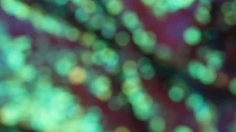 Multi-colored blurred bokeh. 库存影片 106125365