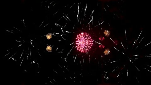 Multi-colored bright fireworks sparkle silver and pink on a black sky. Over.. Video stock 288371350