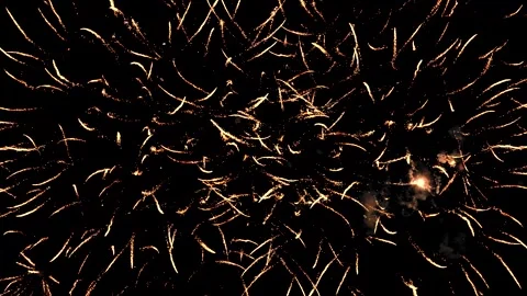 Multi-colored bright fireworks sparkling in gold color on a black sky Stock Footage 281365143