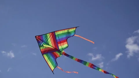 Multi-colored bright kite Stock Footage 134251607