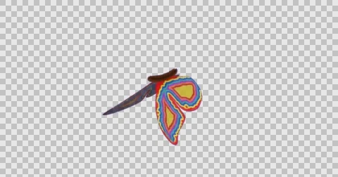 Multi colored butterfly flapping wings gracefully in slow motion movements Stock Footage 65701898