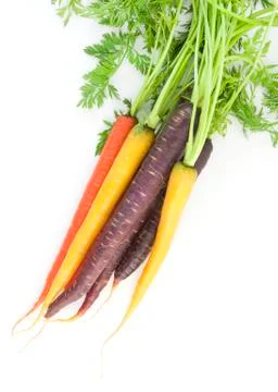 Multi-colored carrots 写真素材