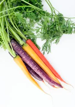 Multi-colored carrots Stock-Fotos