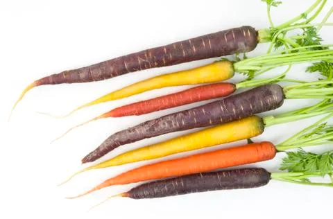 Multi-colored carrots Stock-Fotos