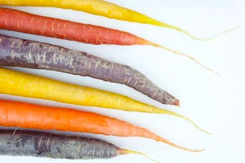 Multi-colored carrots Stock Photos