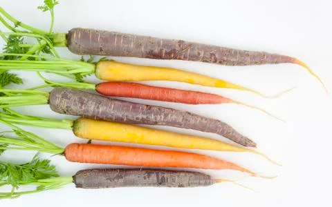 Multi-colored carrots Fotos de archivo