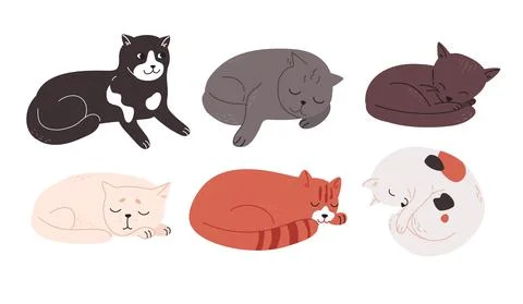 Multi-colored cats of different breeds lie resting. Tired charming kittens are Stock Illustration