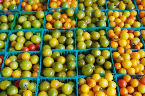 Multi-colored cherry tomatoes Stock Photos