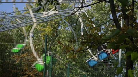 Multi-Colored Children's Swing Chamomile is Spinning in the Autumn Park Stock Footage 216779993
