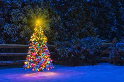 Multi-Colored Christmas tree at night while snowing Foto stock