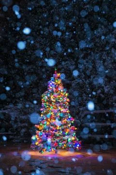 Multi-Colored Christmas tree at night while snowing Foto stock