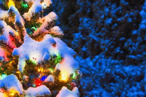 Multi-Colored Christmas tree at night while snowing Foto stock
