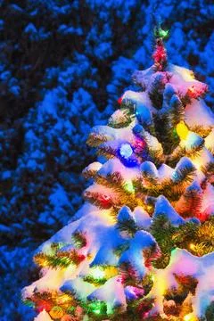 Multi-Colored Christmas tree at night while snowing Foto stock
