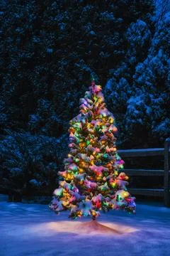 Multi-Colored Christmas tree at night while snowing Foto stock