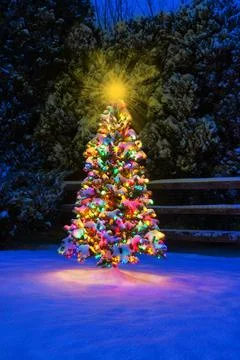 Multi-Colored Christmas tree at night while snowing Foto stock