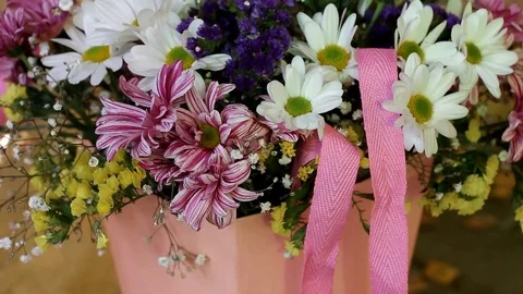 Multi-colored chrysanthemums are collected in a bouquet which is placed in a box Stock Footage 103127083