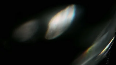 Multi-colored combination of holographic hue in the isolated space. Stock Footage 203368426