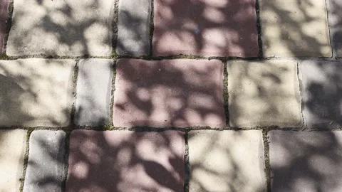 A multi-colored concrete tile walkway with a beautiful tree shadow. Stock Footage 196316084