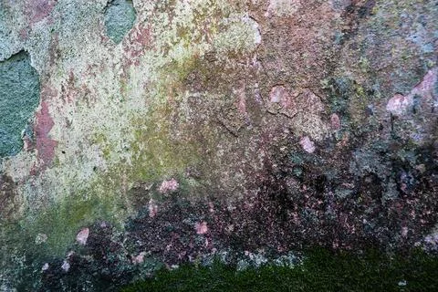 Multi-colored cracked textured plaster on an old wall. Foto stock