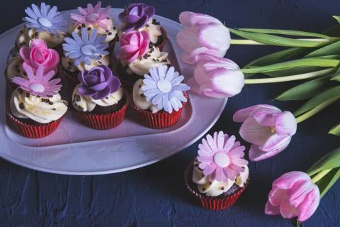 Multi-colored cupcakes on a white plate Stock Photos