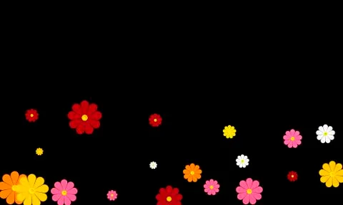 Multi-colored daisies on a black background Stock Illustration