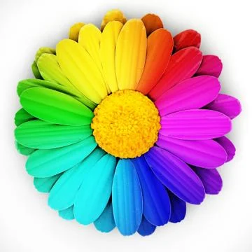 Multi colored daisies isolated on white background. 3D illustration Stock Illustration
