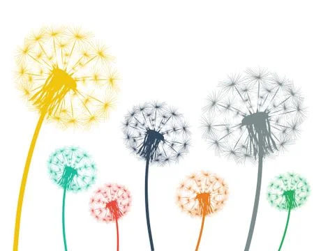 Multi-colored dandelions on a white background Stock Illustration
