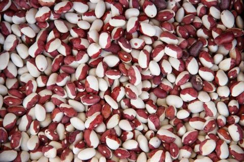 Multi-colored dark red and white haricot beans background Stock Photos