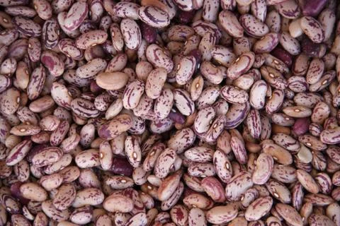 Multi-colored dark red and beige haricot beans background Stock Photos