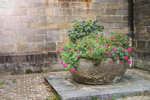 Multi-colored decorative flowers in old concrete vase on stone wall background. Stock Photos
