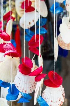 Multi colored decorative sea shells in the gift shop Stock Photos