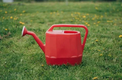 Multi-colored different sizes watering cans stand in a green garden. Little h Stock Photos