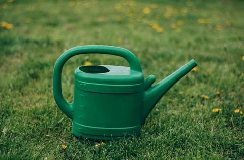 Multi-colored different sizes watering cans stand in a green garden. Little h Stock Photos