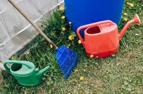 Multi-colored different sizes watering cans stand in a green garden. Little h Stock-Fotos