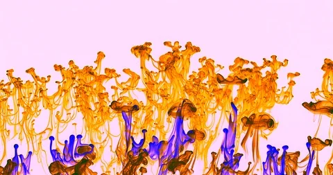 Multi Colored Dye White Bkg-2 Stock Footage 124603483